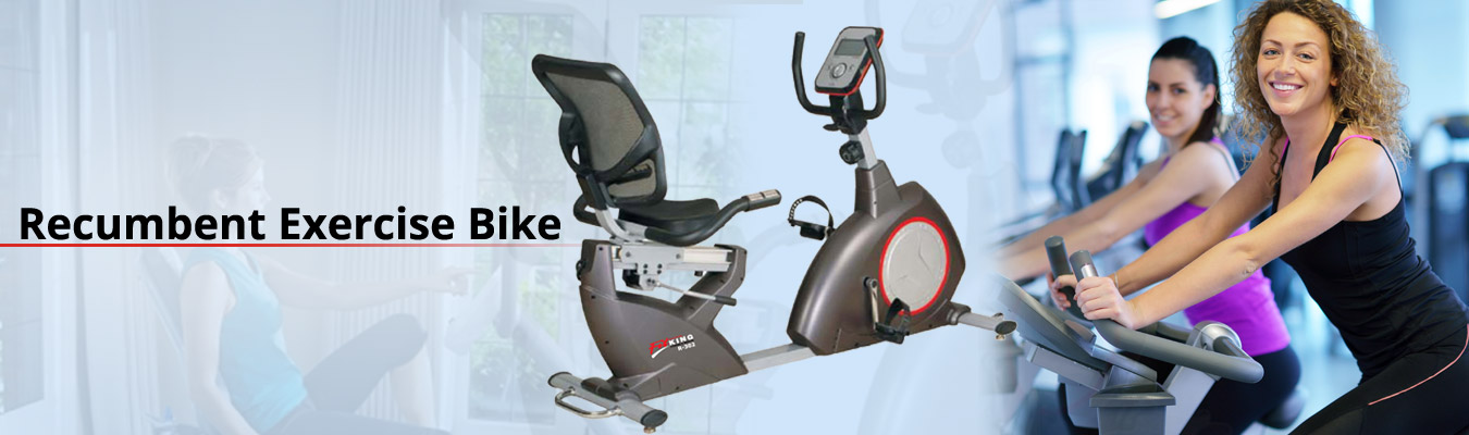 best recumbent elliptical