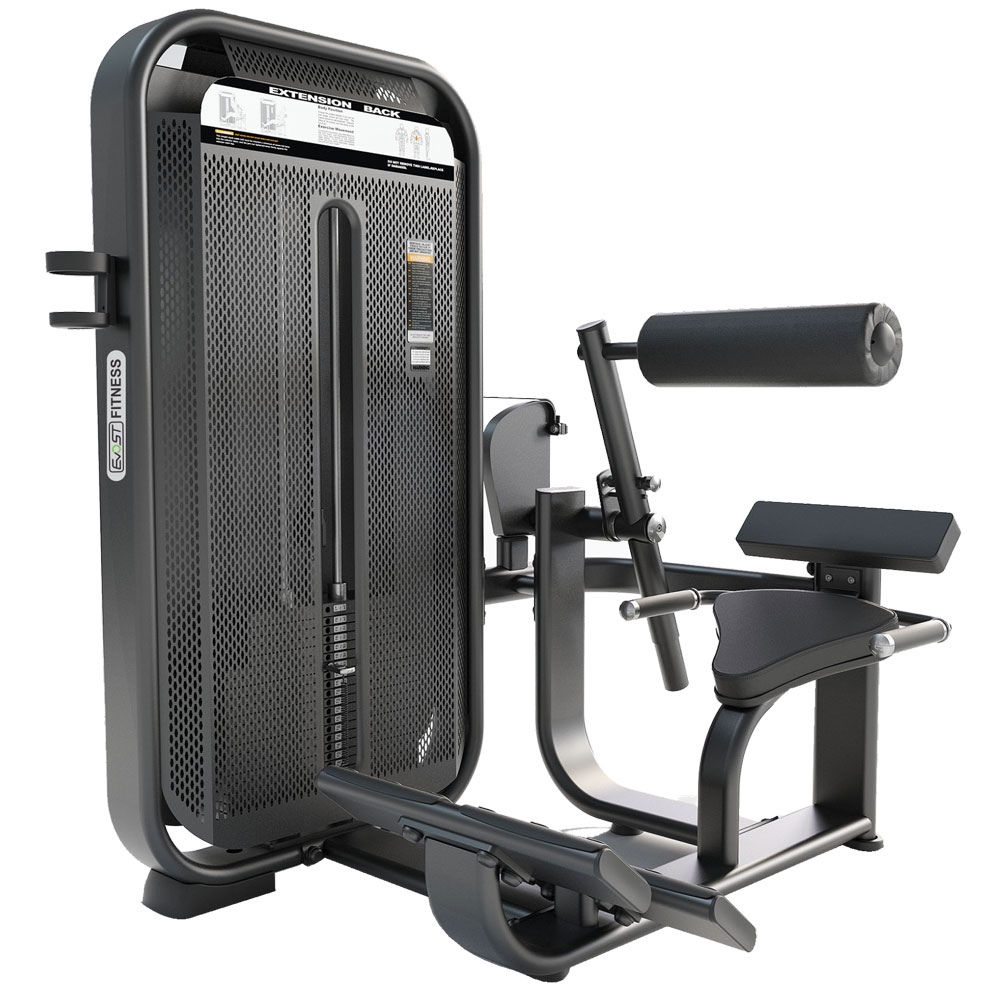 Back Extension Fitness Equipments / Gym Strength Machines