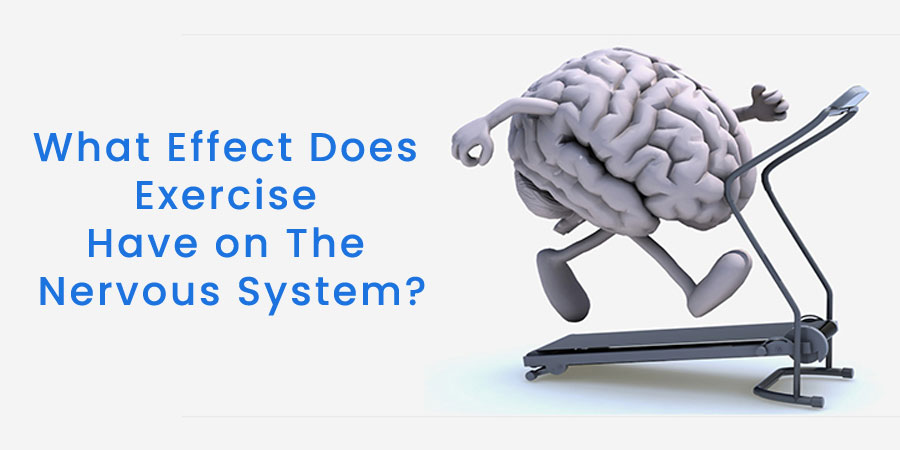 What Effect Does Exercise Have on The Nervous System?