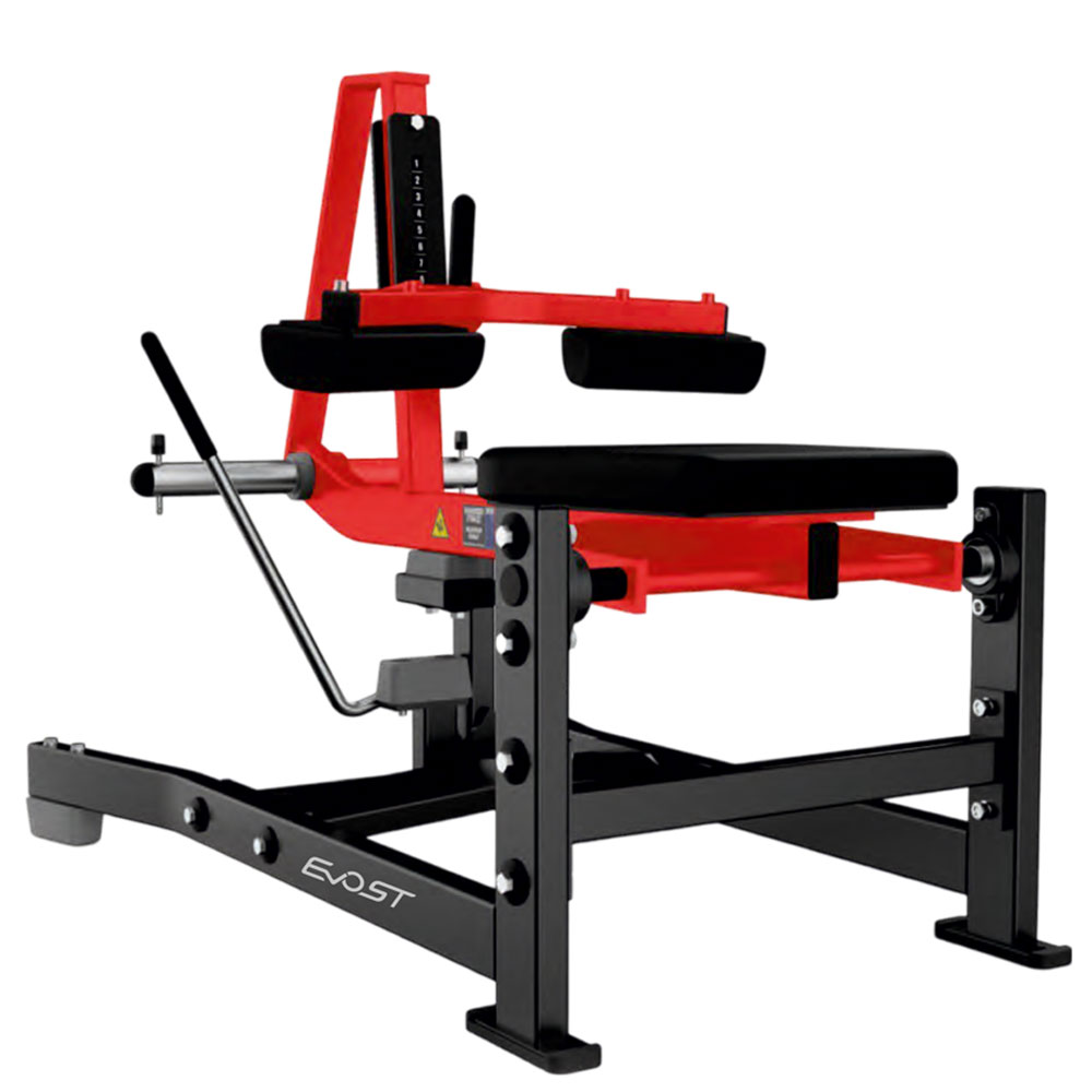 SEATED CALF RAISE SM 2025